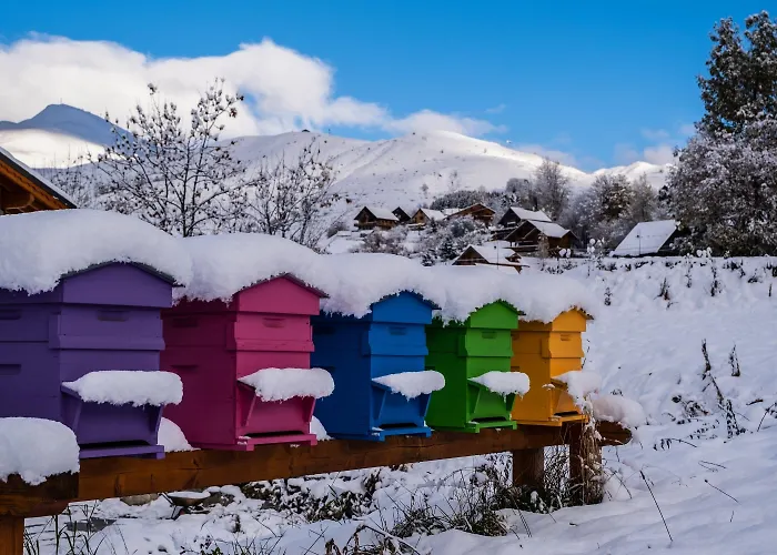Olydea Fontaine Du Roi *